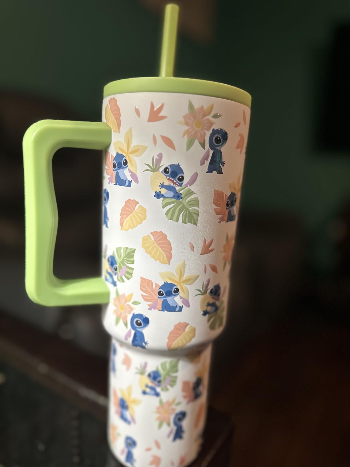 Simple Modern Disney 40 oz Tumbler with Handle & Straw Lid - Winnie The Pooh in the Wilderness customer photo 1
