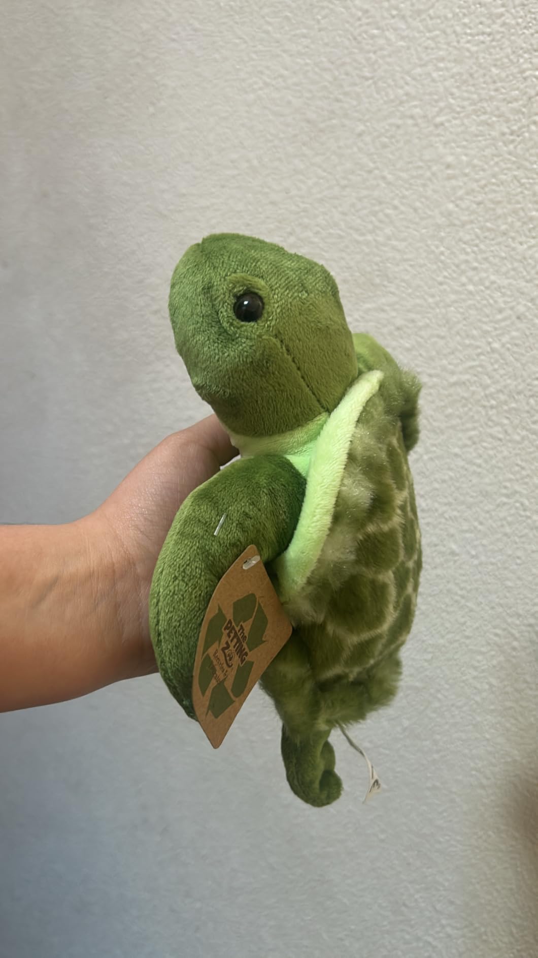 The Petting Zoo Sea Lion Stuffed Animal Plushie, Scoopz, Kids Gifts, 9 in customer photo 2