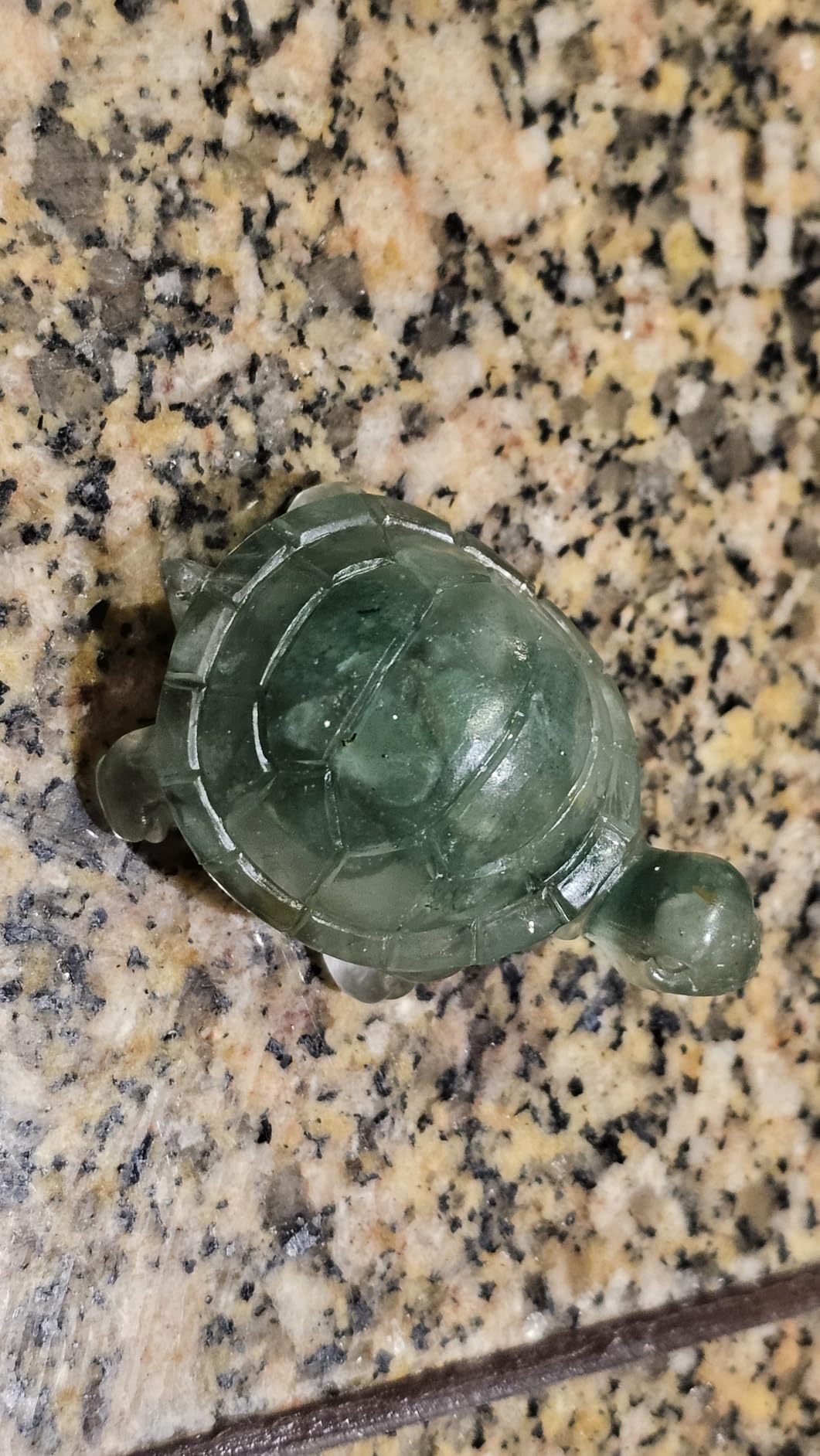 8PCS Crystal Turtle Figurine Set for Teens - Handmade Sea Turtle Resin Decor for Home, Office & Fish Tank, Healing Crystal Animal Statues for Desk, Shelf or Meditation Space Gift customer photo 2