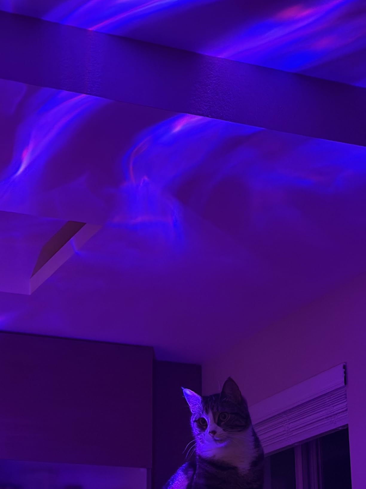Galaxy Projector Night Light Projector Teen Girl Gifts Trendy Stuff,18-Color Lava Lamp LED Lights for Bedroom Mood Ambient Lighting,Birthday Gifts Northern Aurora Light Projector Dorm Decor Room Decor customer photo 2