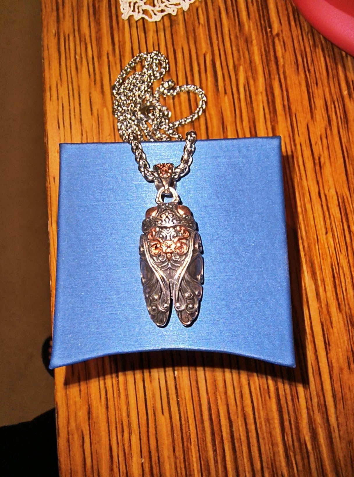 Cicada Necklace, Silver-Plated Cicada Pendant, Vintage Cicada Insect Pendants Weird Jewelry Keychain Necklace Gifts for Men and Women customer photo 1