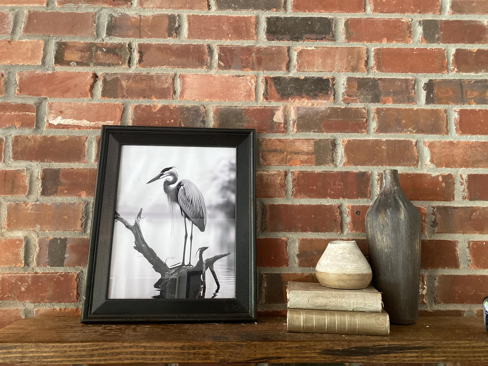 Lemur Art Prints Posters, Black and White Photography Wall Art, Wildlife Safari Jungle Nature Inspired Photos, Exotic Animal Wall Decor. (Lemur, 16x20 inches (Unframed)) customer photo 1