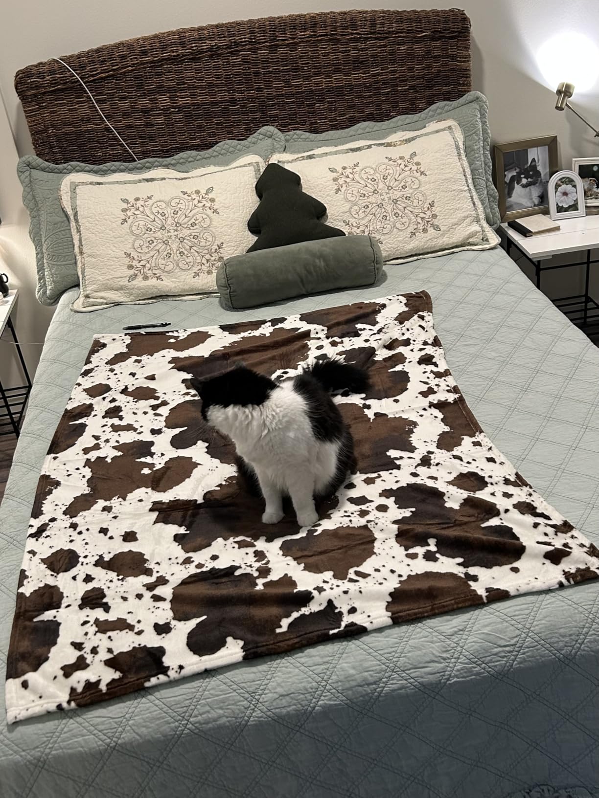 Bnuitland Leopard Print Fleece Flannel Throw 50x40inch, Double Sided Lightweight Super Soft Cheetah Print Blanket customer photo 1