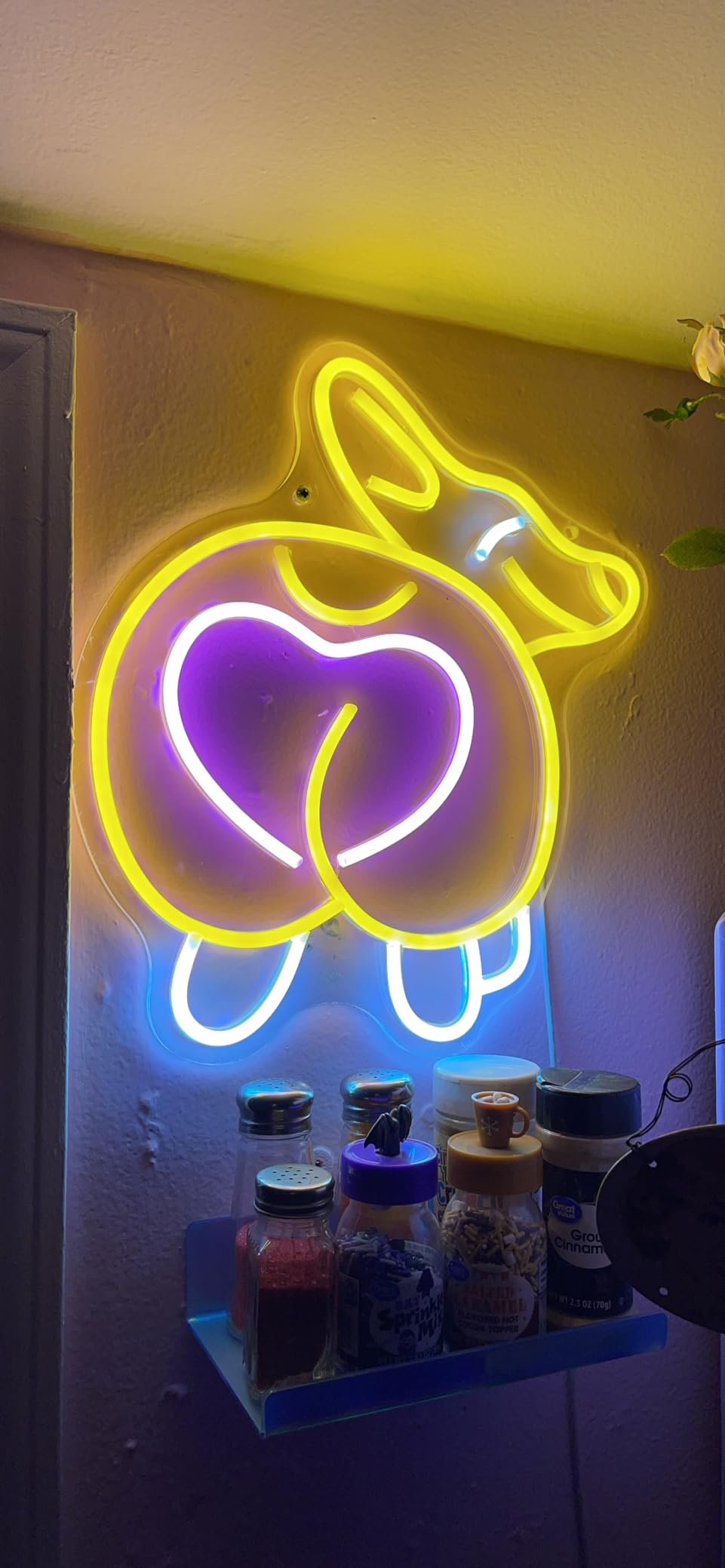 Cowboy Lizard Neon Sign Cool Animal LED Lights for Bedroom Man Cave Decor | Dimmable Reptile with Cowboy Hat LED Sign customer photo 1