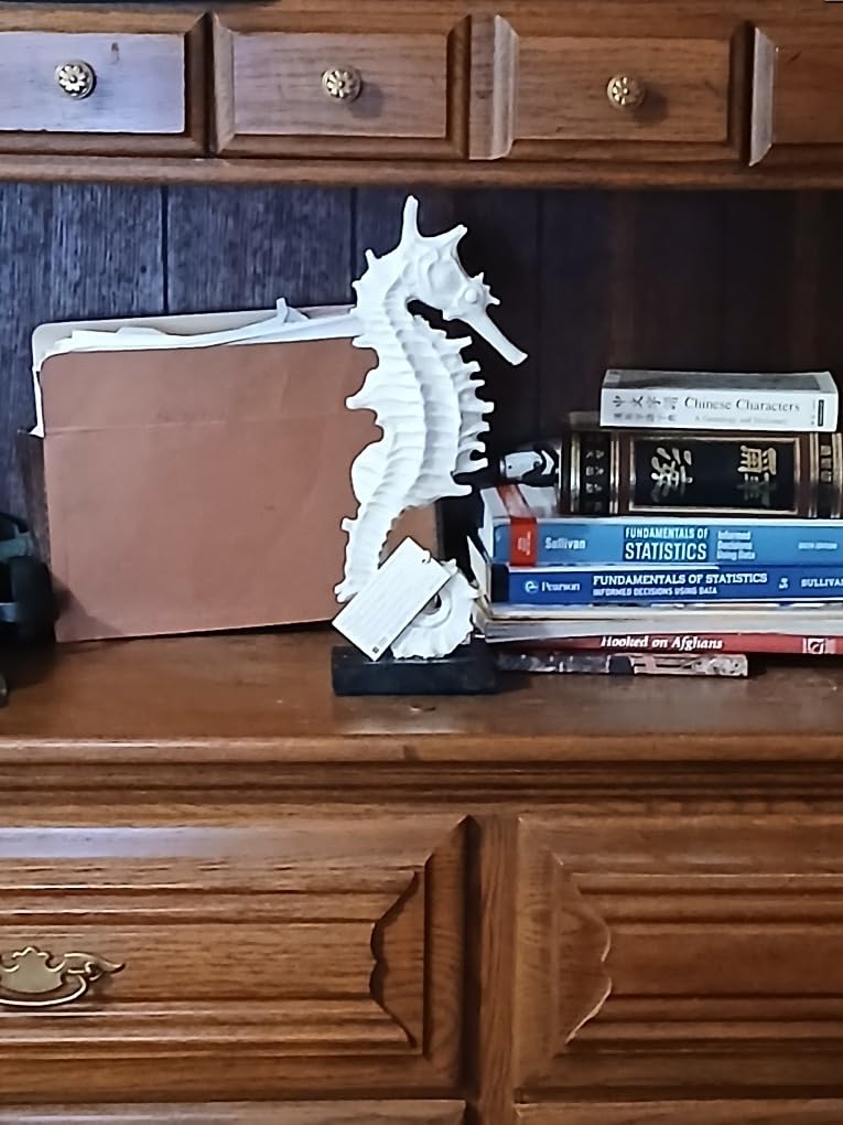 HAUCOZE Seahorse Statue Ocean Decor Modern Sculpture Home Gift 13.4 Inch | White Resin Handicraft with Black Base Nautical Art Table Centerpiece Ornament for Bookshelf Desktop customer photo 1