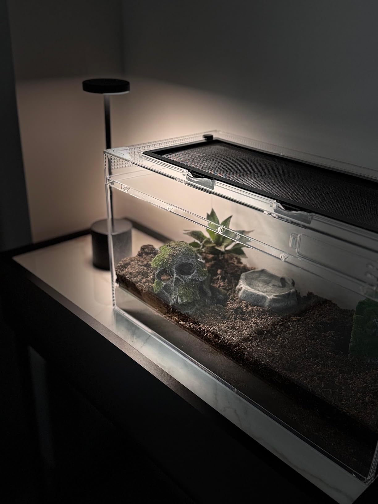 Reptile PC Terrarium Set, Reptile Tank 20