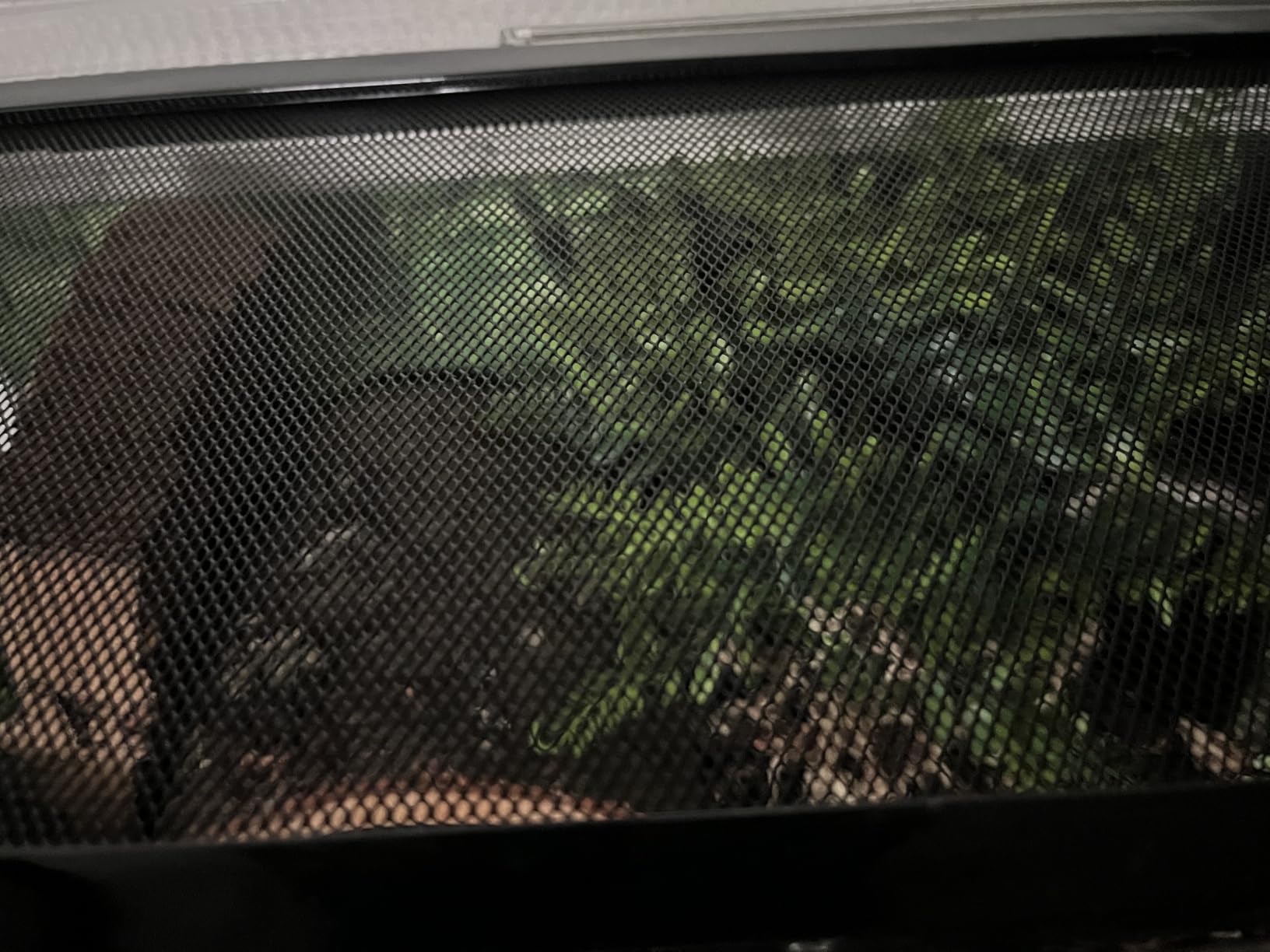 Reptile PC Terrarium Set, Reptile Tank 20