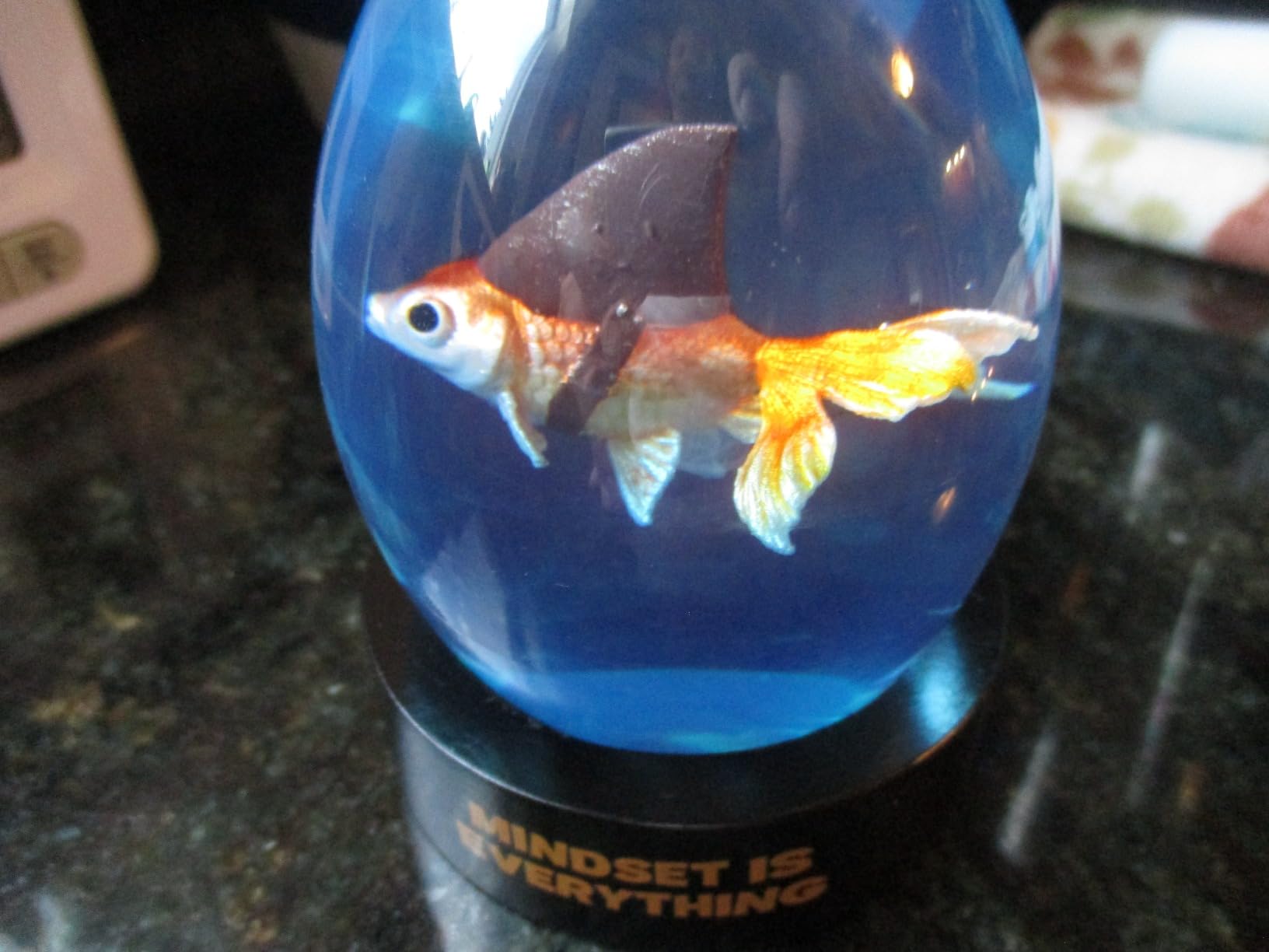 Mindset is Everything Shark Goldfish - Decorative Desk and Shelf Accessory - Inspirational Uplifting Self-Improvement Positive Quote - Home or Office Decor - Original Design Paperweight customer photo 1