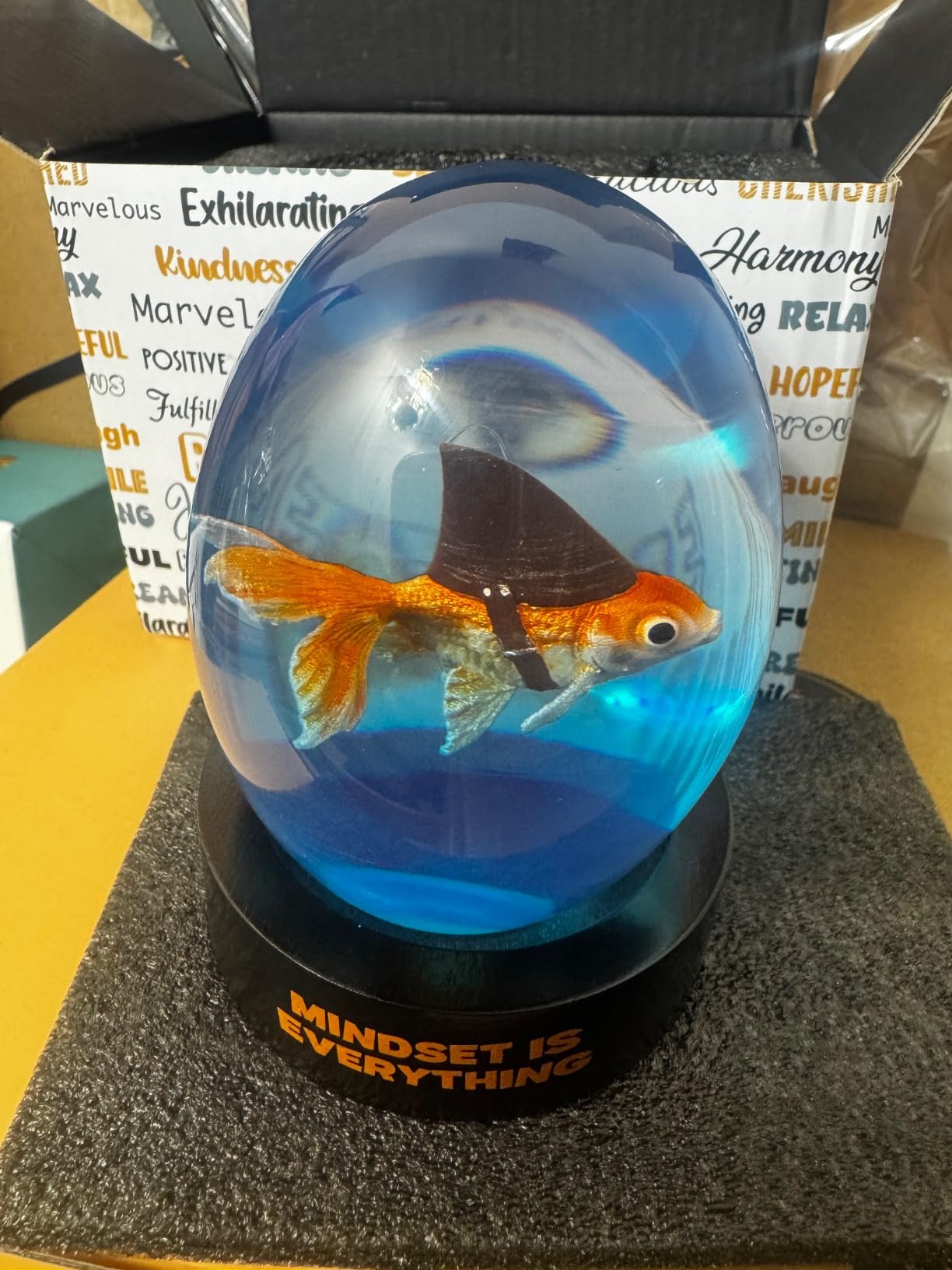 Mindset is Everything Shark Goldfish - Decorative Desk and Shelf Accessory - Inspirational Uplifting Self-Improvement Positive Quote - Home or Office Decor - Original Design Paperweight customer photo 2