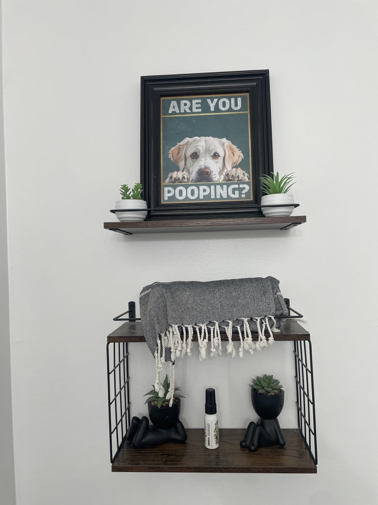 Poster Master Are You Pooping Poster - Gecko Print - Cute Gecko Wall Art - Funny Kids Bathroom Decor - Powder Room Decor - Humorous Guest Bathroom Decoration - Restroom Sign, 16x20 Brown Framed customer photo 1