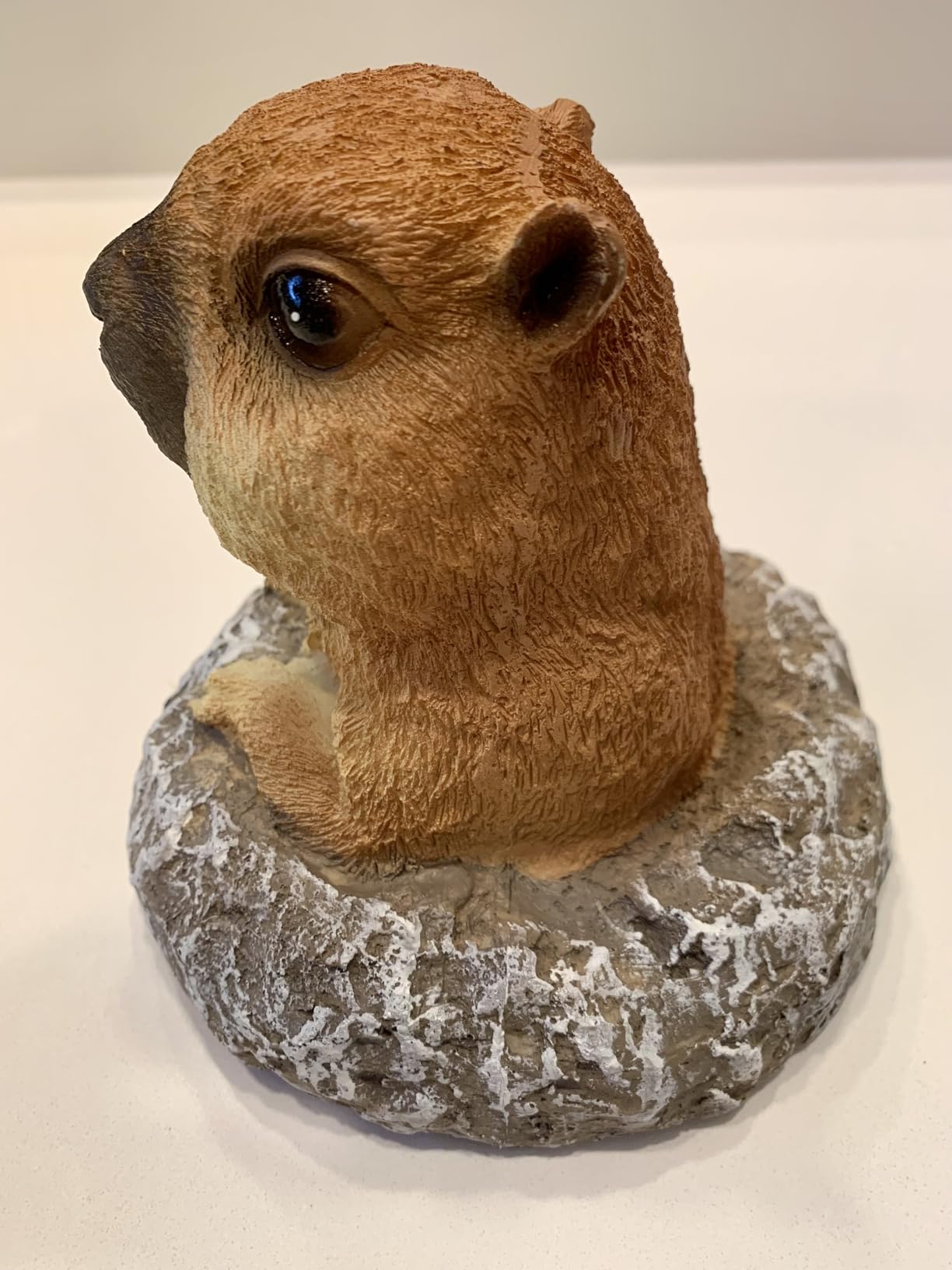 Meerkat Statue - Charming Meerkat Garden Animal Statue: Lifelike Decor Accent for Your Yard or Patio - Add Personality to Your Outdoor Space customer photo 2