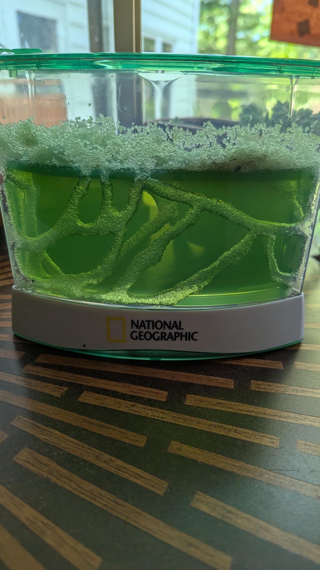 National Geographic Ant Habitat Kit - Light-Up Ant Terrarium with Built-in Magnifiers, Tunnel Starter Tool & More, Ant Activities for Kids, Ant Home, Ant Colony, Ant Habitat, Ant House for Kids customer photo 1