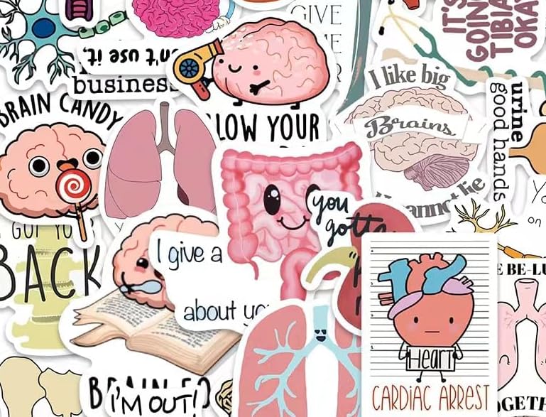 Neuroscience Pun Stickers, Funny Neuroscience Stickers, Water Bottle Scrapbooking Stickers (50 Pack) customer photo 1