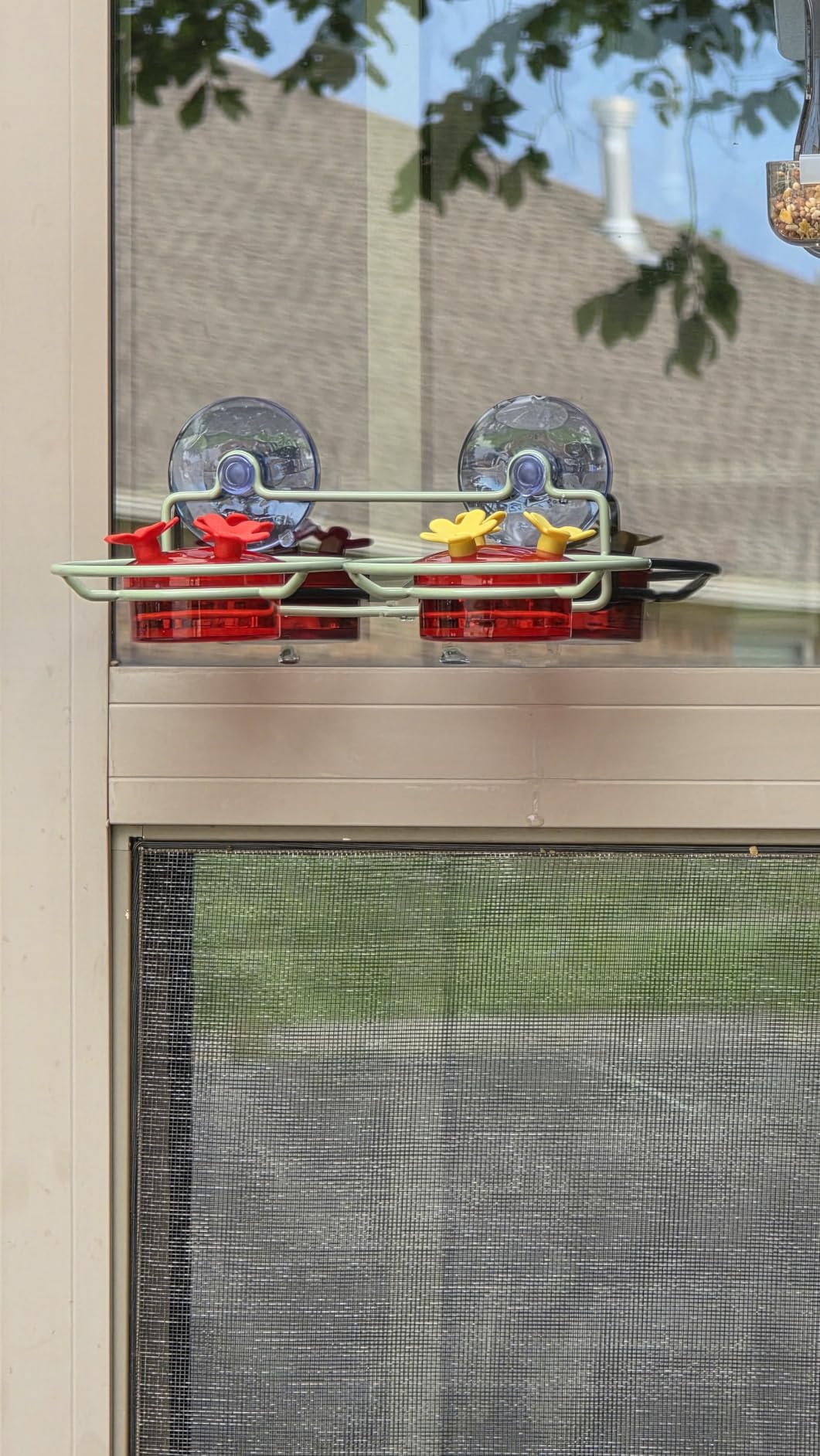 Dreamdrawer Window Hummingbird Feeder, Small Hummingbird Feeder for Outdoors with Strong Suction Cup - Metal Base & 6 Feeding Ports, Easy to Clean and Refill customer photo 2