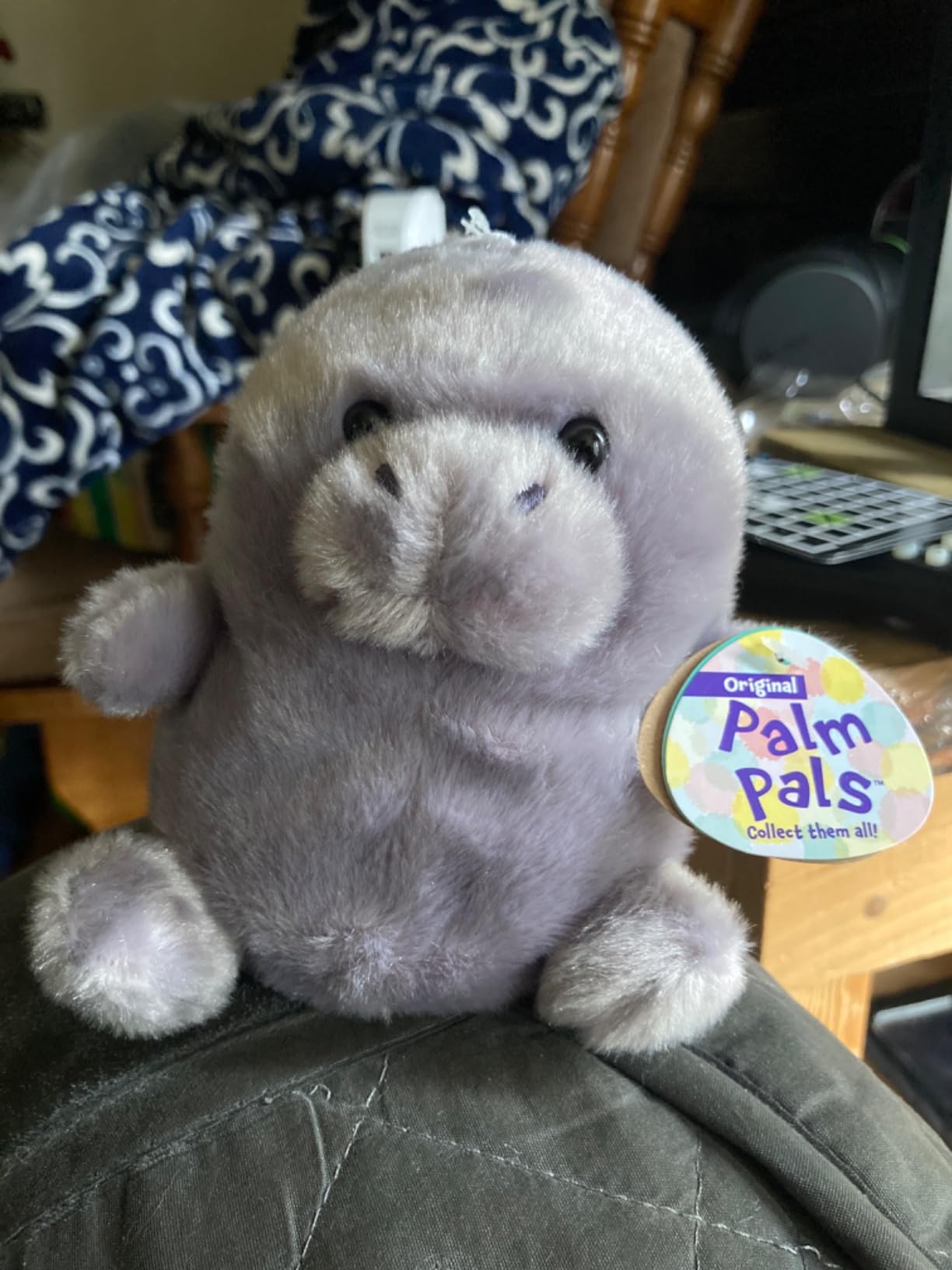 Aurora Palm Pals 5