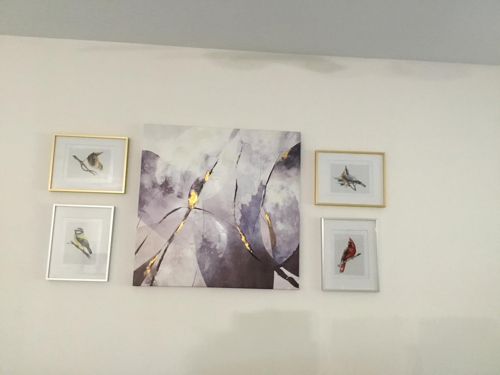 Backyard Birds Wall Art Prints. Set of 6-8x10 - UNFRAMED Watercolor Everyday Bird Decor Including Blue Jay, Blue Tit, Nuthatch, Red Cardinal, Wren & American Robin customer photo 1