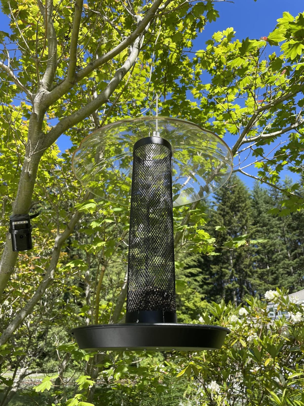 Kingsyard Finch Thistle & Nyjer Bird Feeder for Outdoors Hanging | 9.5