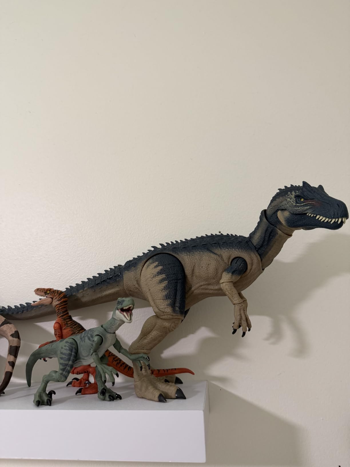 Mattel Jurassic World Hammond Collection Allosaurus Dinosaur Figure | Premium Design Action Figure, Glass Eyes & Wired Tail, 19 Points of Articulation, 17-inch long customer photo 1