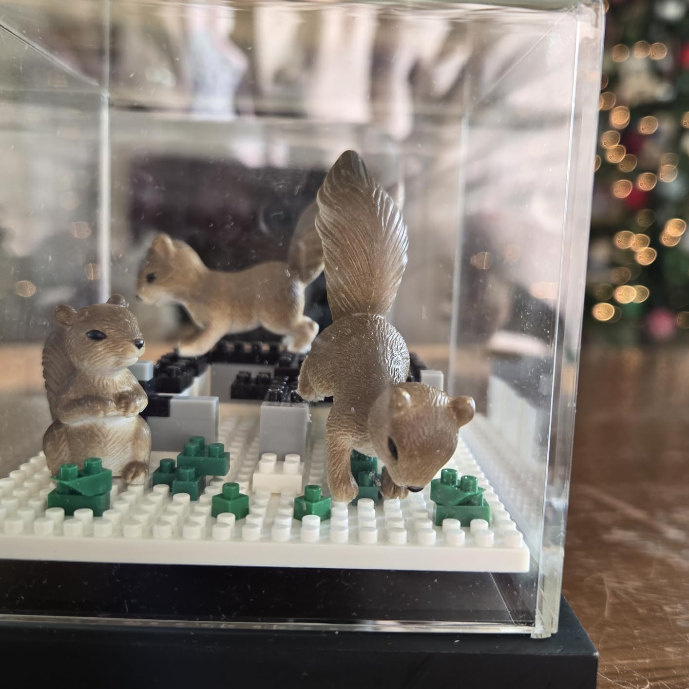 8Pcs Miniature Squirrel Figurines,Tiny Animal Figures Decorate for Fairy Garden,Pot,Office Desk,Bookshelf and Bedside Decoration customer photo 1