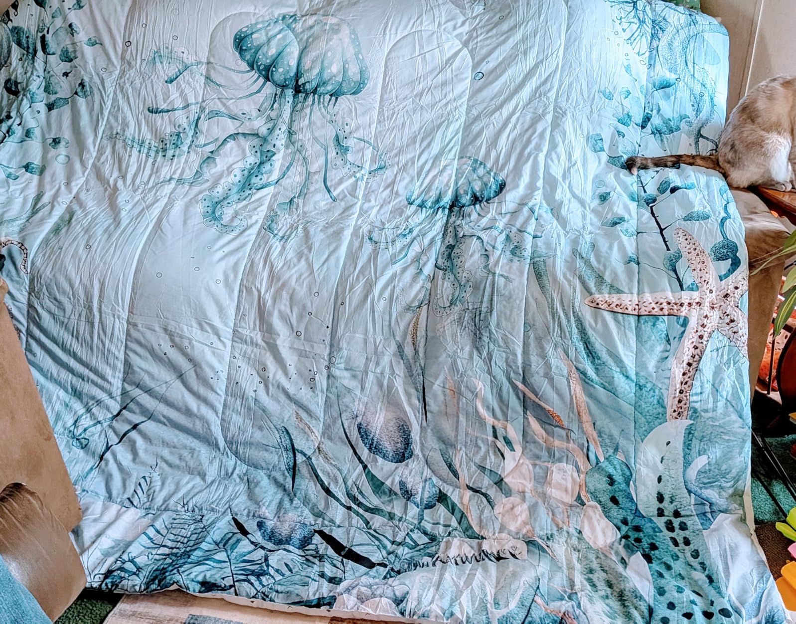 Ursine Seal Bed in a Bag Queen Comforter Set 7 Piece, Teal Blue Ocean Beach Coastal Bedding Set Starfish Octopus Sheet Sets with Comforter Underwater Creature Coral Bed Set, Kawaii Fish Room Decor customer photo 1