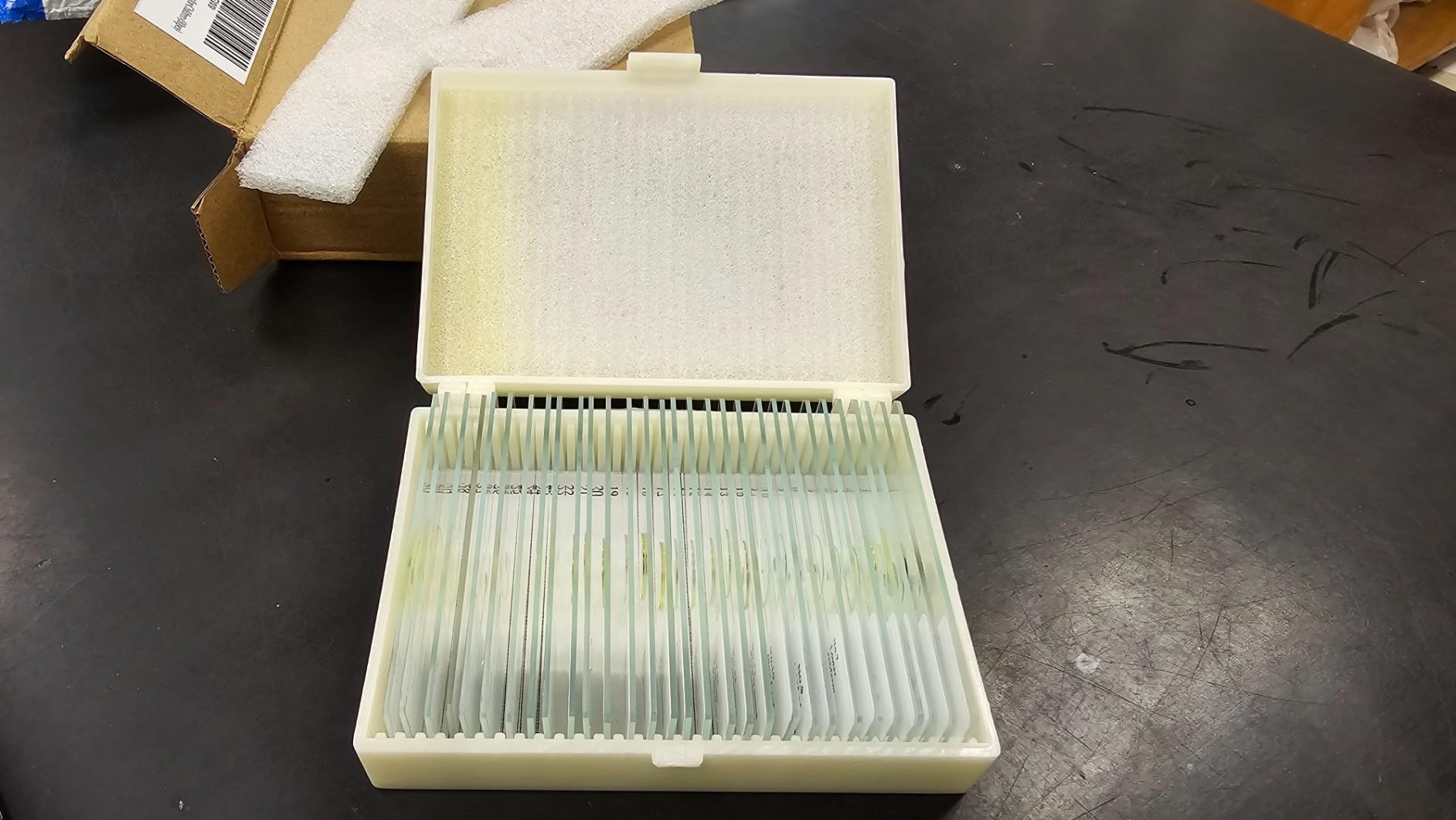 60 Pieces Prepared Microscope Slide Set with Specimens, Plant Animal Cell Science Education Microscope Slides for Bioscience Labs customer photo 2