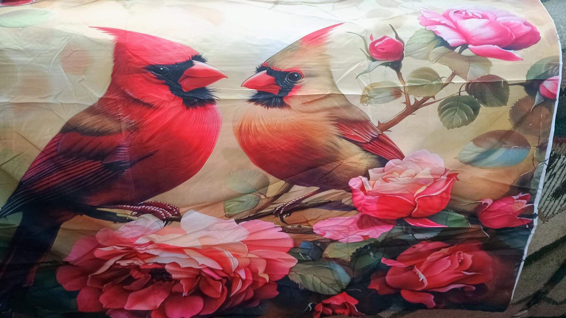 Erosebridal Chameleon Comforter Set 7 Piece Bed in a Bag Twin, Green Lizard Bedding Sets Red Rose Flowers Bedding Comforter Sets, Wild Animals Reptile Sheet Set with Comforter customer photo 1