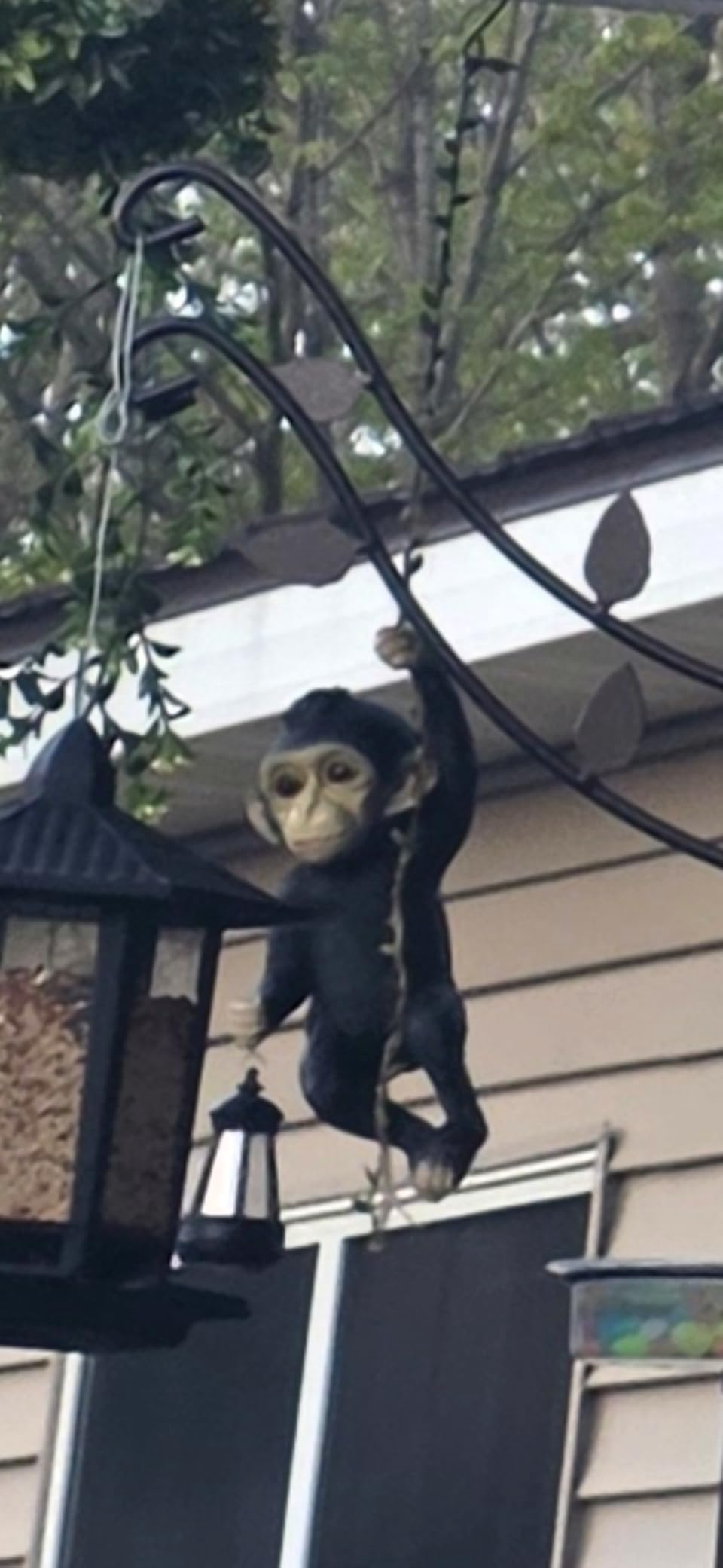 Rossesay Solar Light Outdoor Monkey Statue LED Lantern Baby Monkey | Chimpanzee Baby Monkey Climbing on Vine, Brown, 7.48 Inch, Resin, Waterproof, Hanging Figurine with Hook, Yard Garden Wall customer photo 1