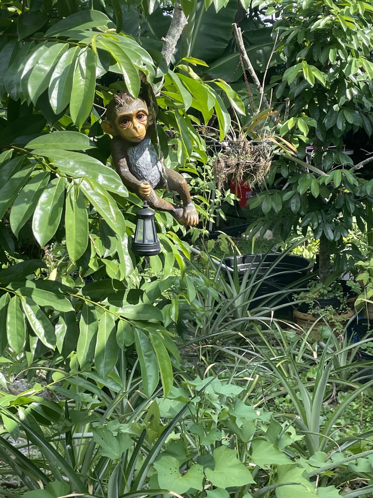 Rossesay Solar Light Outdoor Monkey Statue LED Lantern Baby Monkey | Chimpanzee Baby Monkey Climbing on Vine, Brown, 7.48 Inch, Resin, Waterproof, Hanging Figurine with Hook, Yard Garden Wall customer photo 2