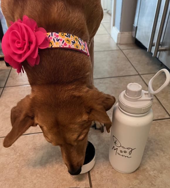 Rubyloo Dog Mom Water Bottle with Detachable Bowl for Dog Lovers | 32oz Insulated Stainless Steel Bottle, 8oz Detachable Bowl, Leak-Proof Lid, BPA-Free, Hiking, Walking, Travel, Gift customer photo 1