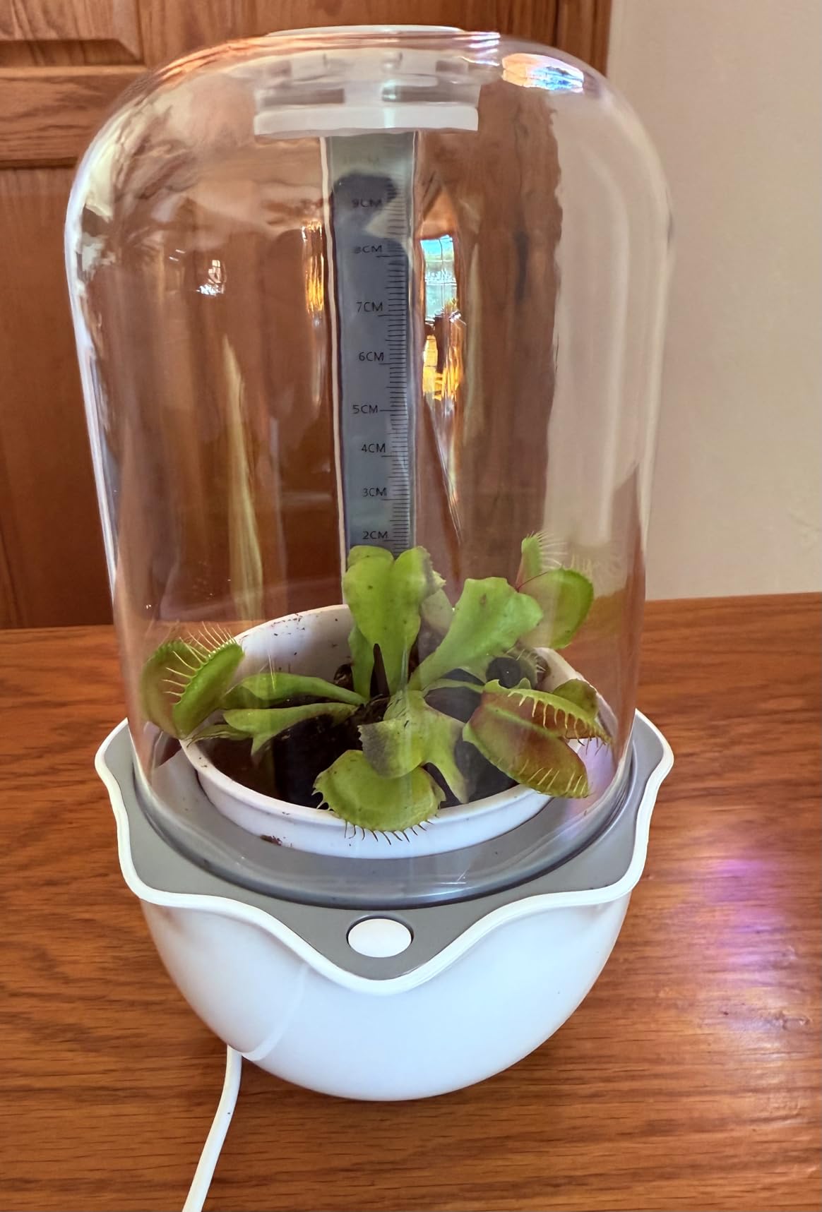 Smart Venus Fly Trap Terrarium Pot with Timer & Fan, Mini Plant Terrarium Kit | Plant Terrarium Kit with Grow Light for Carnivorous, Butterwort, Venus Fly trap customer photo 2