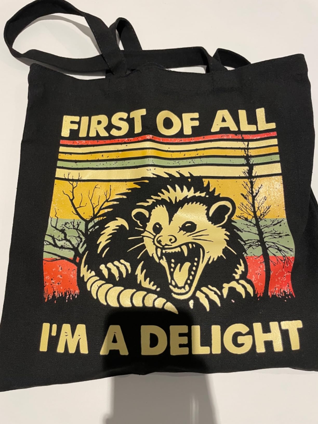 Kimoli Canvas Aesthetic Tote Bag for Women - Cute Reusable Cotton Bags for Shopping Beach Trendy Gifts customer photo 2