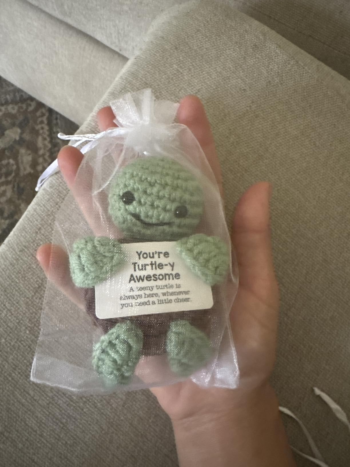 Mini Funny Crochet Turtle Decor - Emotional Positive Turtle, Cute Birthday Gift for Women Men, Teacher Appreciation, Small Cute Stuff customer photo 1