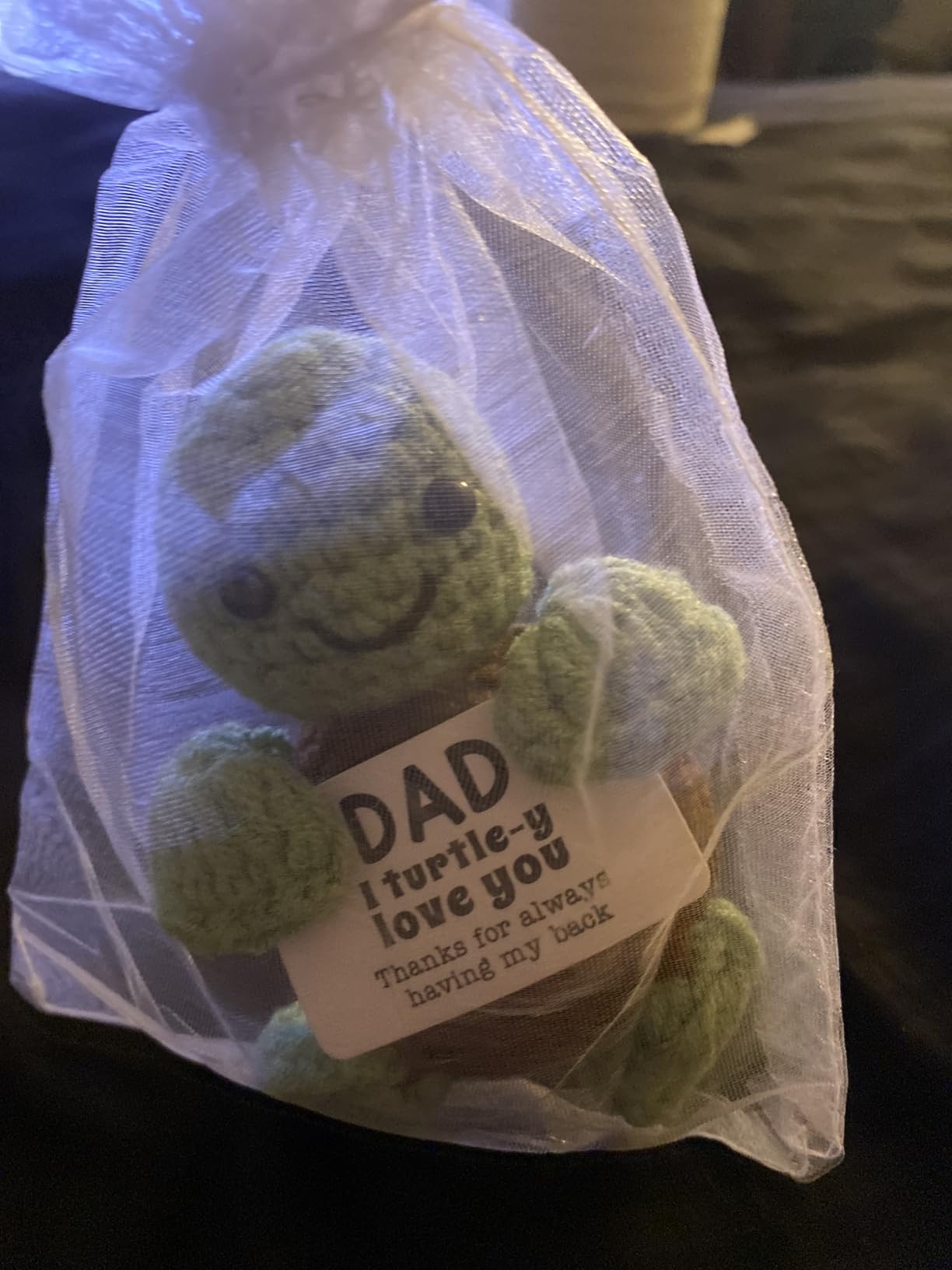 4THFARMES Mini Funny Turtle Brother Gifts from Sister - Handmade Emotional Positive Crochet Turtle customer photo 1
