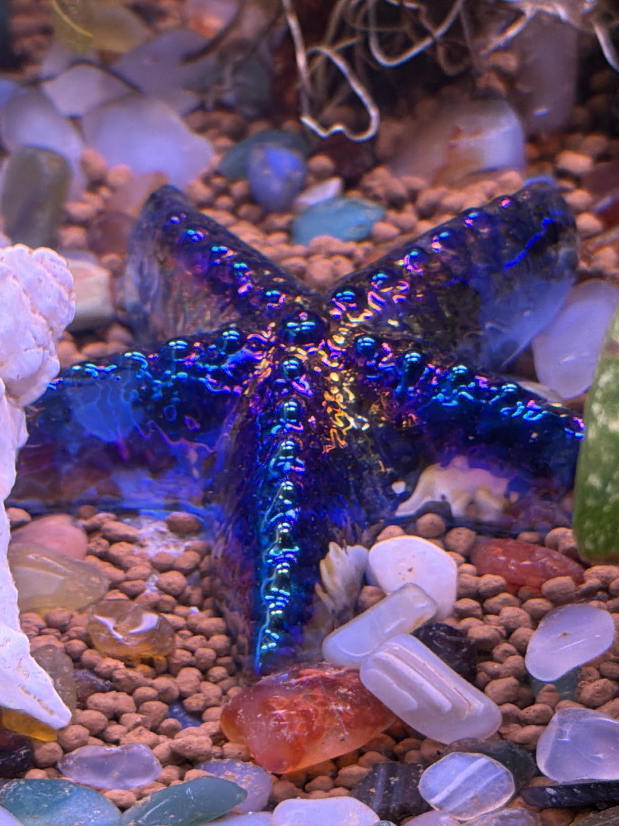 Blue Hand Blown Glass Starfish Figurine Tiny Sea Animal Decor | Hand Blown Glass Blue Starfish Figurine Tiny Sea Animal Ornament for Home Office Desk Shelf Beach Aquarium Display customer photo 1