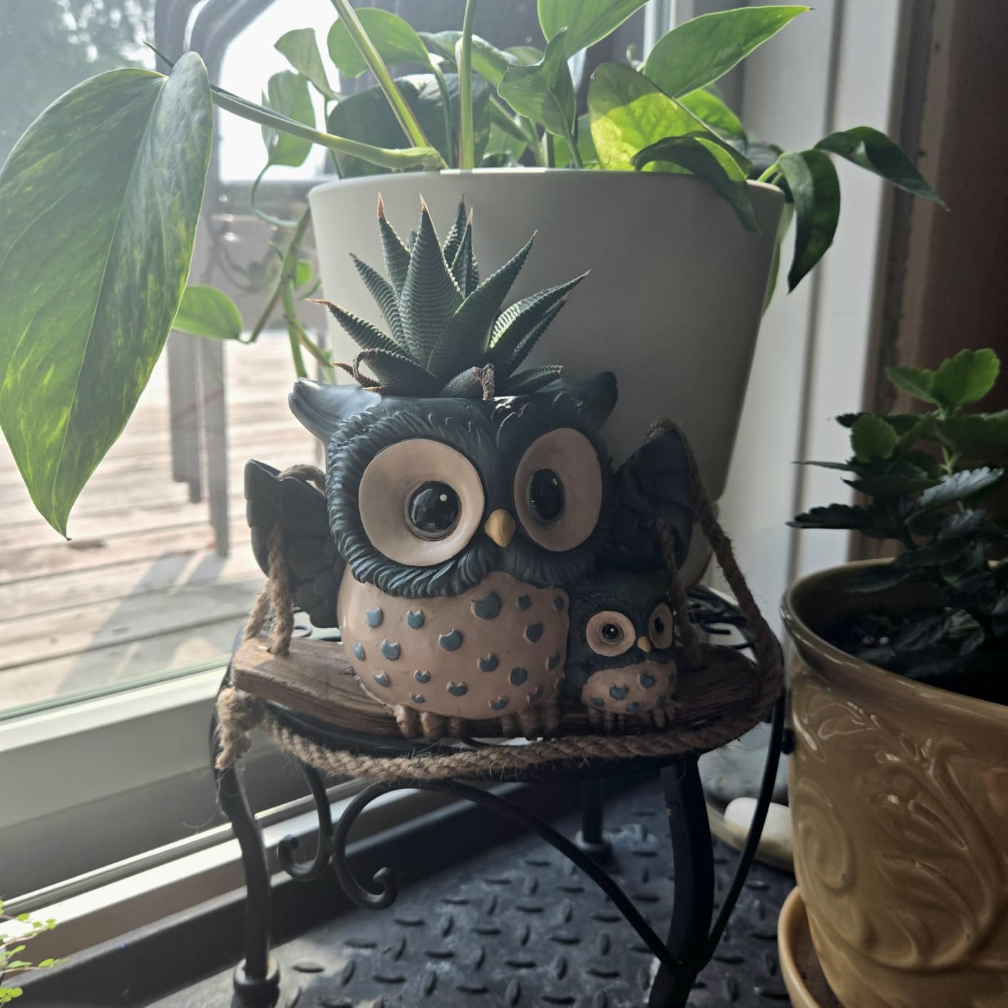 Swing Owl Hanging Planters for Indoor Plants, Cute Small Succulent Pots with Drainage Hole, Unique Resin Plant Hangers Outdoor, Hanging Plant Holder for String Of Pearls, Gift Ideas for Mother customer photo 1