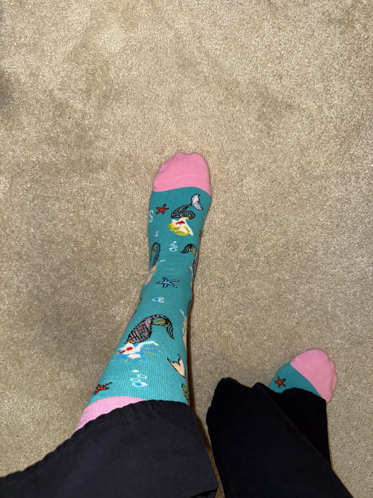 HAPPYPOP Fun Animal Lover Gifts - Mermaid Penguin Hippos Gifts Octopuses Socks for Women Men customer photo 1