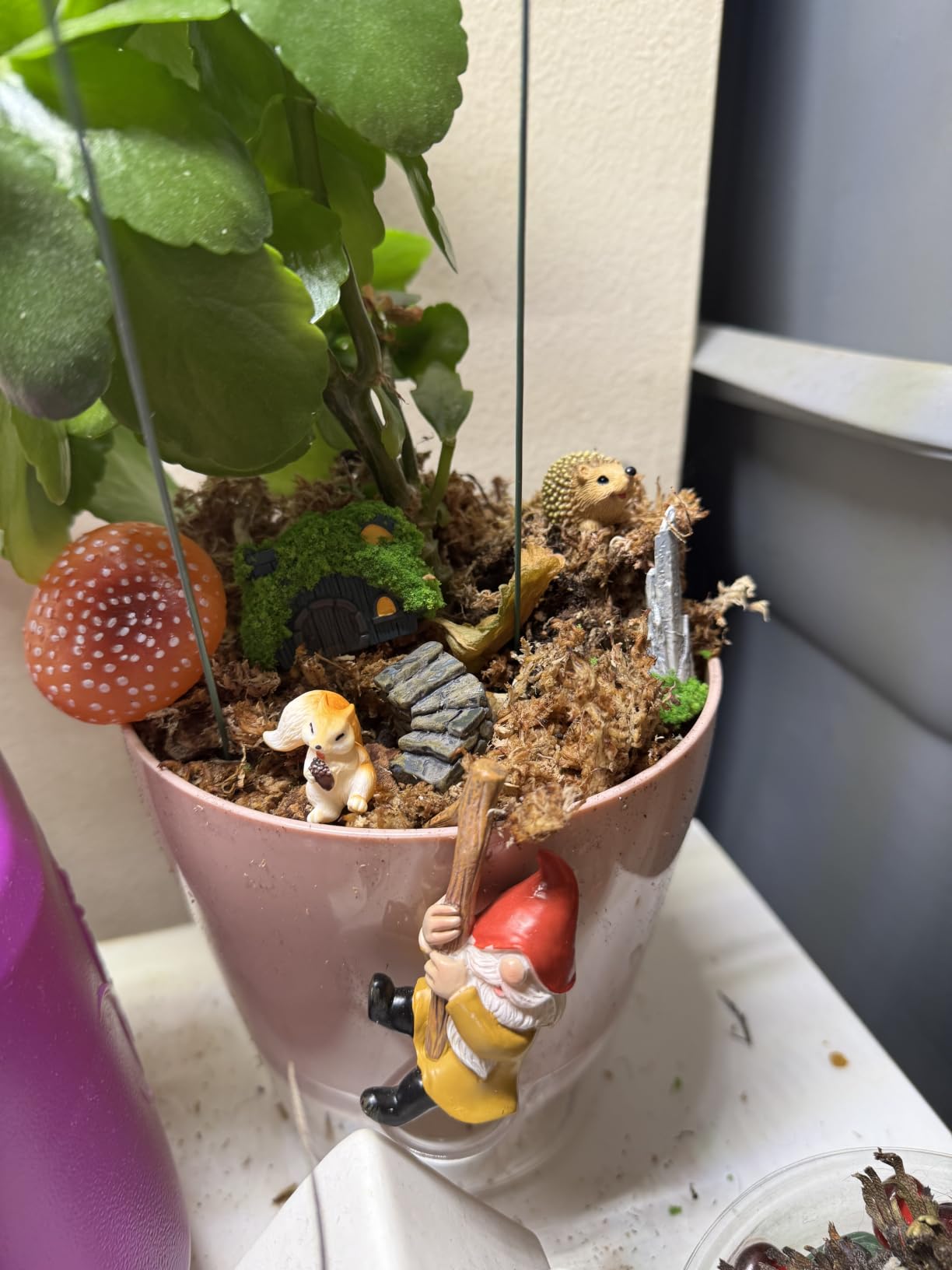 Fairy Garden Accessories, 7 Pieces Squirrel & Hedgehog Resin Figures with Acorn & Mushroom, Handmade Miniature Decor, Garden Miniatures and Home Decorations, Perfect DIY Gift customer photo 1