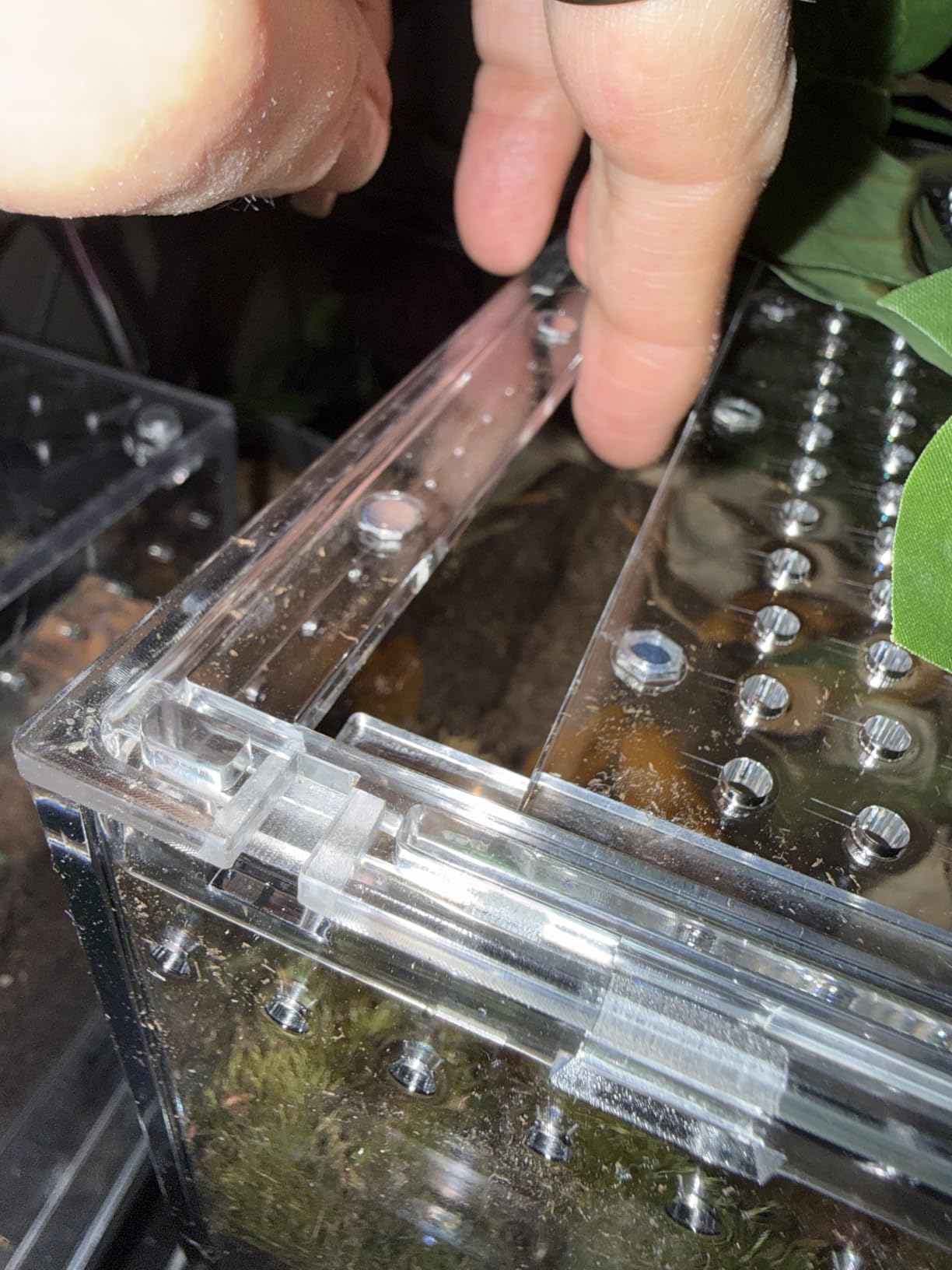 Reptile PC Tank, Escape Proof Magnetic Lid Tarantula Enclosure Large | Easy Clean Seamless Base Hermit Crab Habitat, Stackable Isopod Terrarium, Cross Ventilation Spider Starter Cage, Frog Container customer photo 1