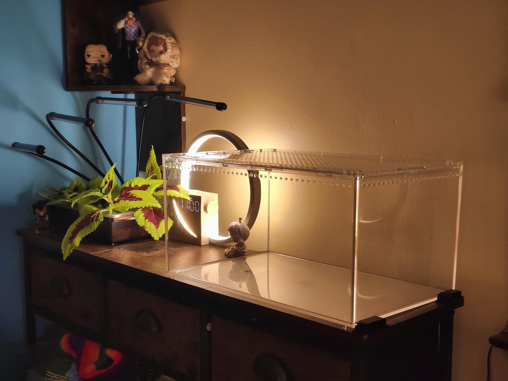 Reptile PC Tank, Escape Proof Magnetic Lid Tarantula Enclosure Large | Easy Clean Seamless Base Hermit Crab Habitat, Stackable Isopod Terrarium, Cross Ventilation Spider Starter Cage, Frog Container customer photo 2