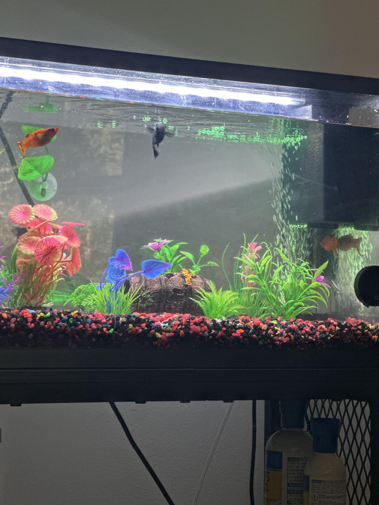 CousDUoBe Fish Broken Barrel Decor Fish Tank Decorations Betta Fish Tank Accessories customer photo 1