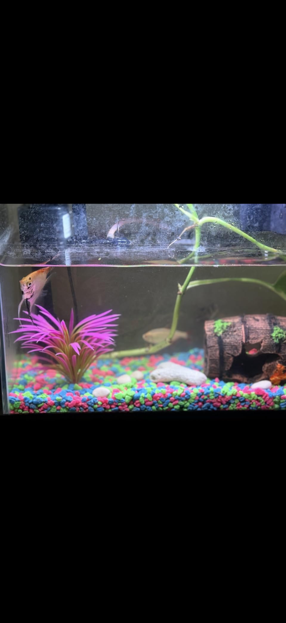 CousDUoBe Fish Broken Barrel Decor Fish Tank Decorations Betta Fish Tank Accessories customer photo 2