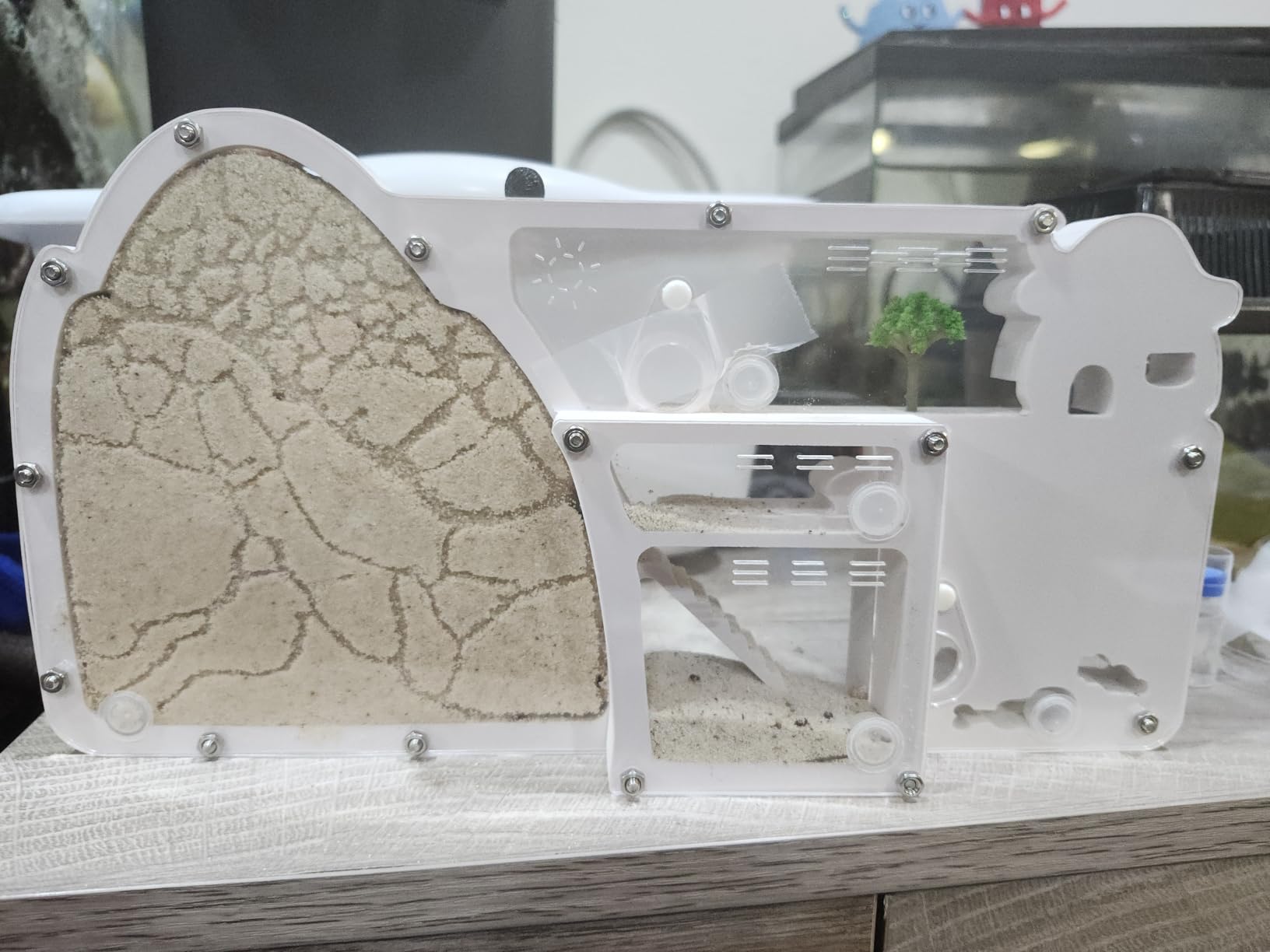Ant Farm Castle - Large Viewing Area - Care for Live Ants - Ant Colony Observation Kits with Sand Habitat (Yellow) customer photo 2