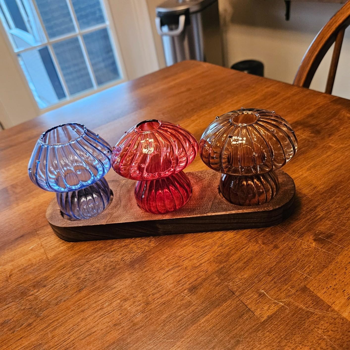 Hewory Plant Propagation Station: 5PCS Colored Mushroom Vase with Wood Tray customer photo 1