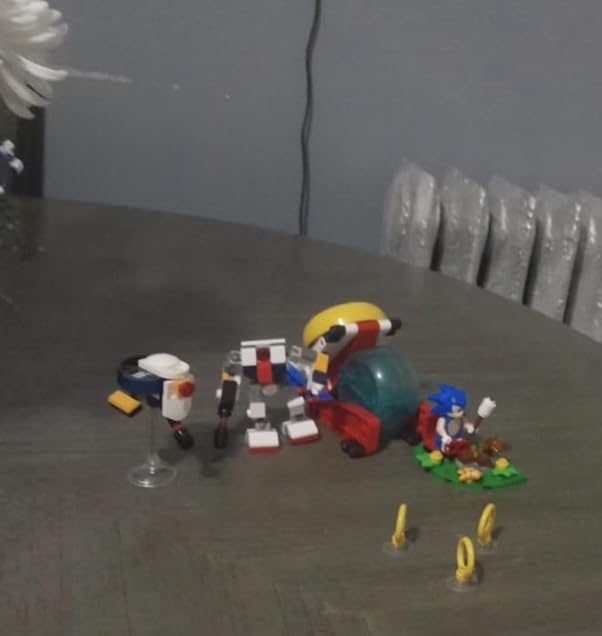 LEGO Sonic the Hedgehog: Sonic's Campfire Clash, Collectible Gaming Toy for Kids and Video Game Fans, Fun Buildable Playset for Boys and Girls Aged 7 and Up 77001 customer photo 1