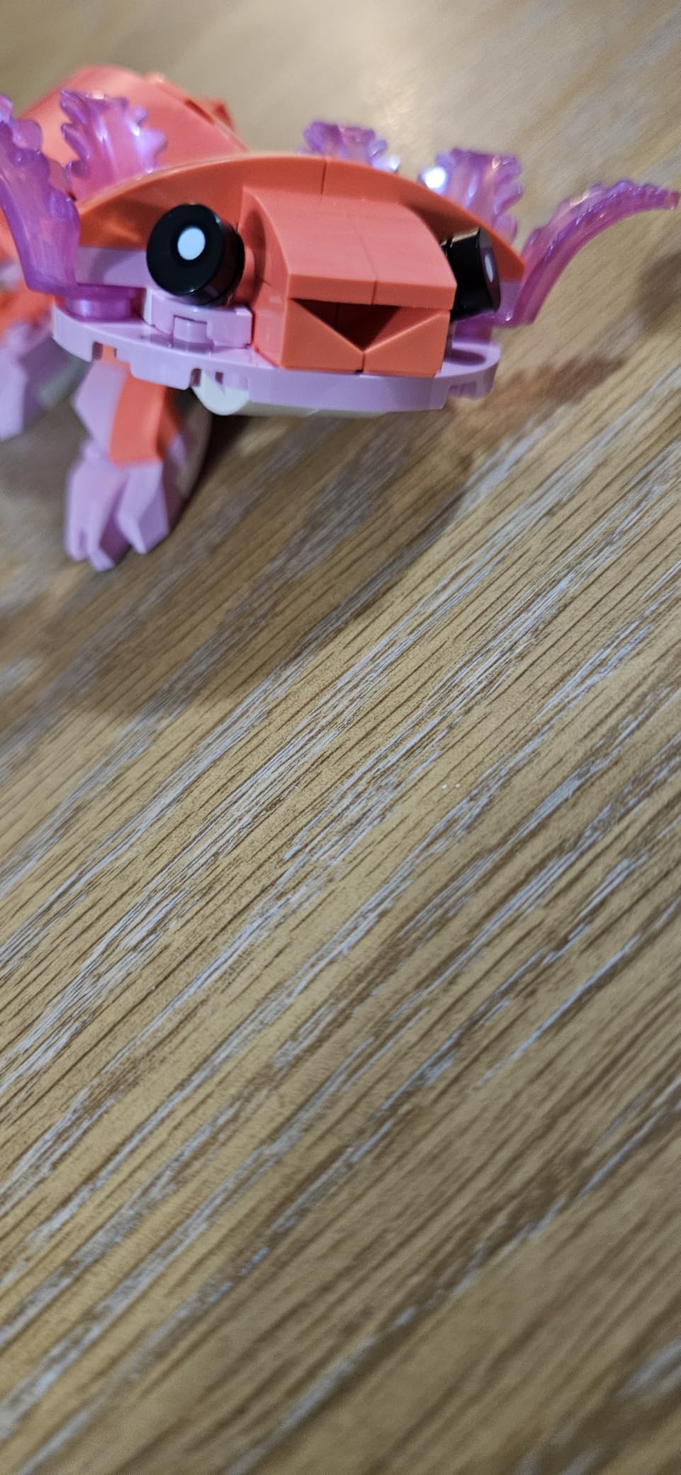 LEGO Creator 3 in 1 Wild Animals: Pink Flamingo Animal Building Toy - Playset with 3 Build Options, Pink Flamingo, Cockatoo, or Axolotl - Learning Toy for Kids, Ages 8+ - 31170 customer photo 1