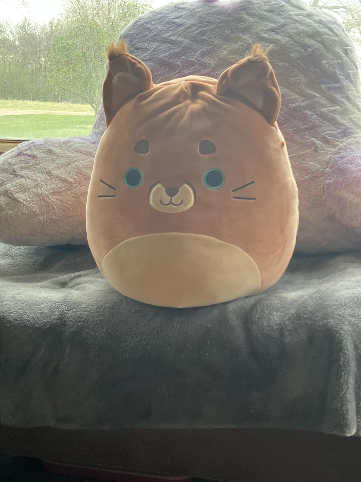 Squishmallows Original 12in Ferraz The Orange Caracal Cat - Official Jazwares Plush customer photo 1