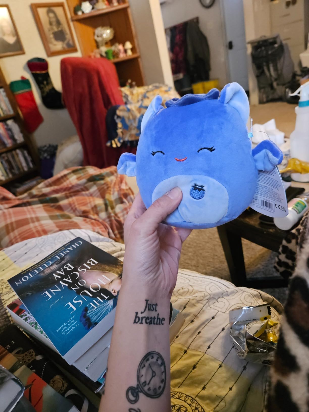 Squishmallows Original 5in Millennia The Grey Bat with Velvet Accents - Official Jazwares Plush customer photo 1