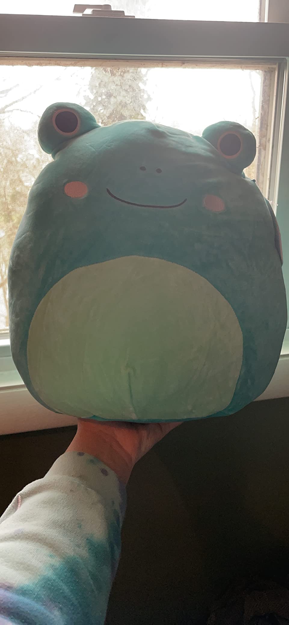 Squishmallows Original 12in Avana The Spotted Axolotl with Silver Crown - Official Jazwares Plush (Medium-Sized) customer photo 2