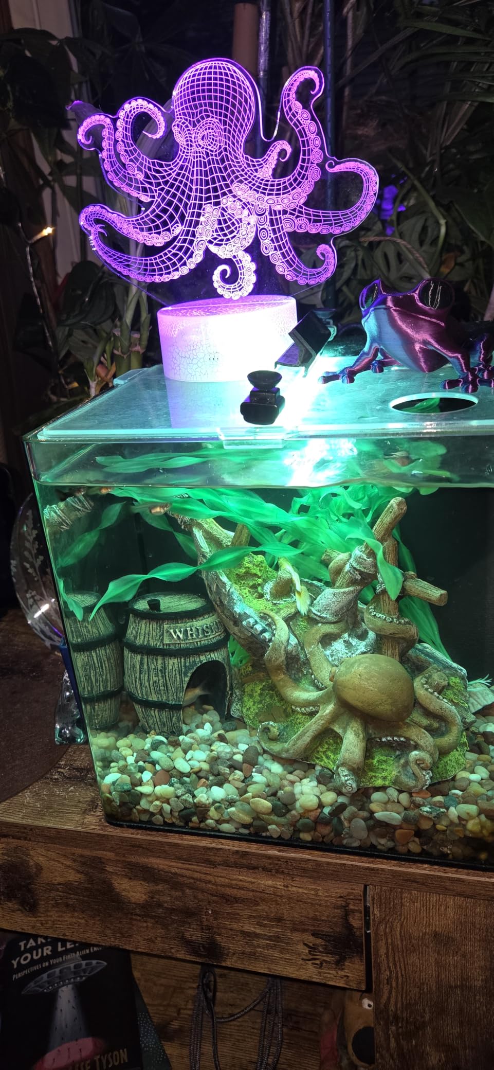 Tortoise Gifts for Men, Turtle Night Light with Remote Control, 16 Colors Changing, Timer, RGB Flashing Mode and Dimmable, Tortoise Gifts Stuff for Men Christmas Decor customer photo 2