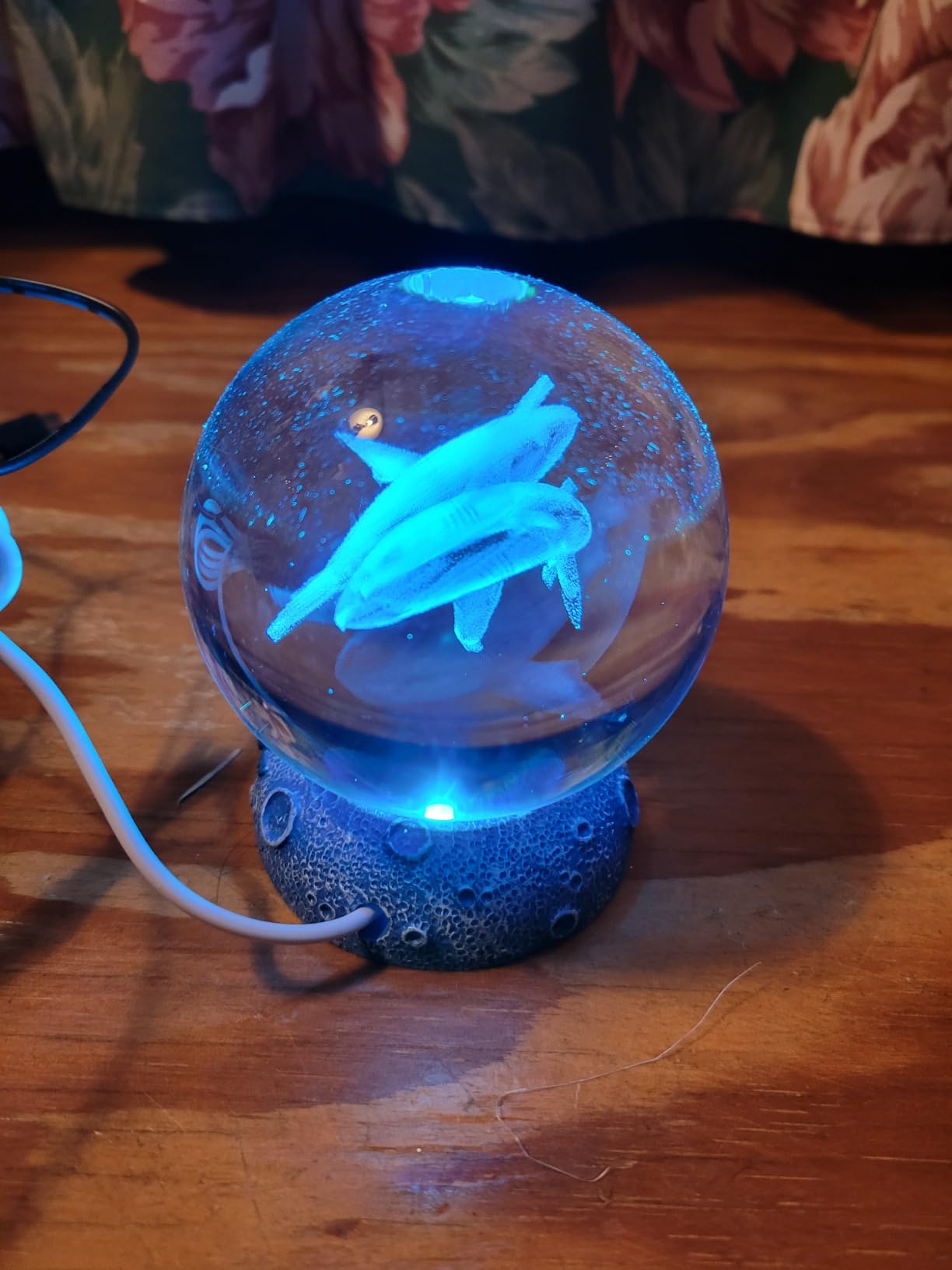 Shark Night Light, 3D Crystal Ball Shark Lamp, Underwater Gifts with 16 Color Remote customer photo 1
